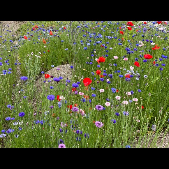 Meet your Posher, D - Picture 2 of 4